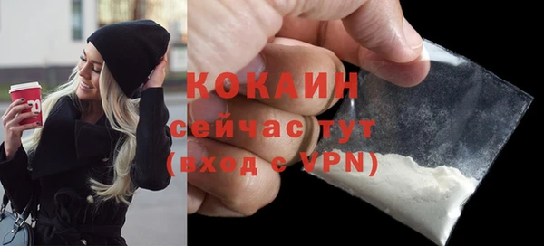 apvp Гусев