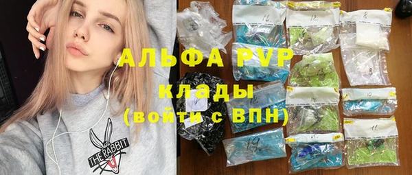 apvp Гусев