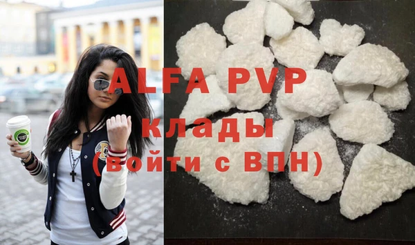 apvp Гусев