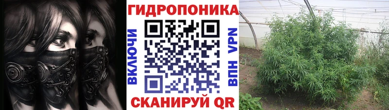 Купить закладки  Коркино  МАРИХУАНА план 